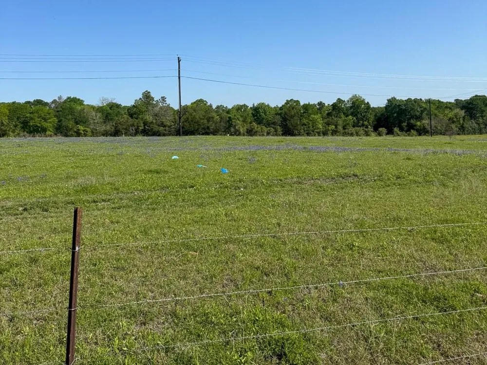 1496 Fm 149 Rd Road W Anderson, TX 77830