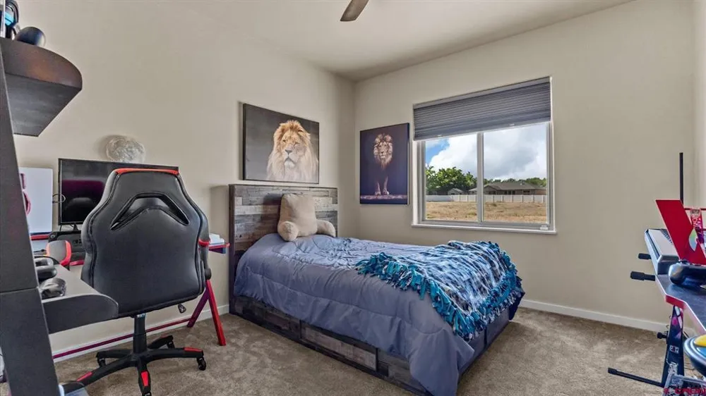 1742 Caribou Street Delta, CO 81416