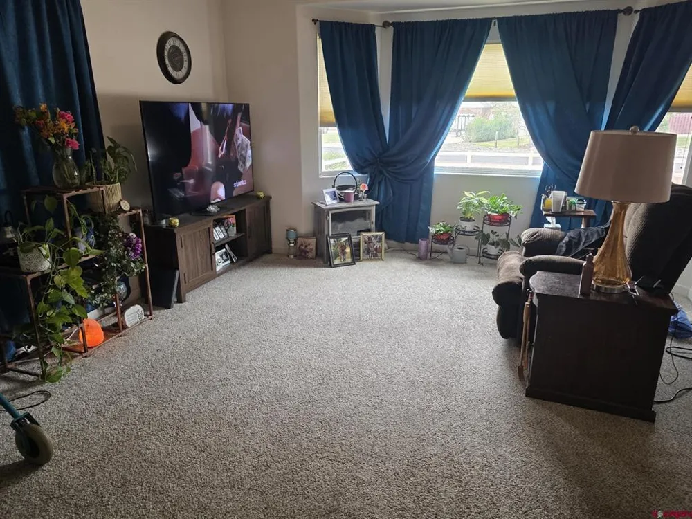 881 Cypress Wood Lane Delta, CO 81416