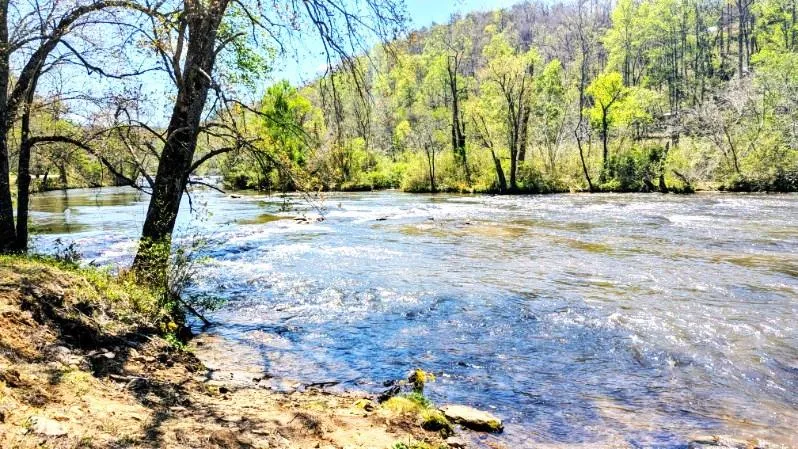RIO BRAVO DR Sylva, NC 28779
