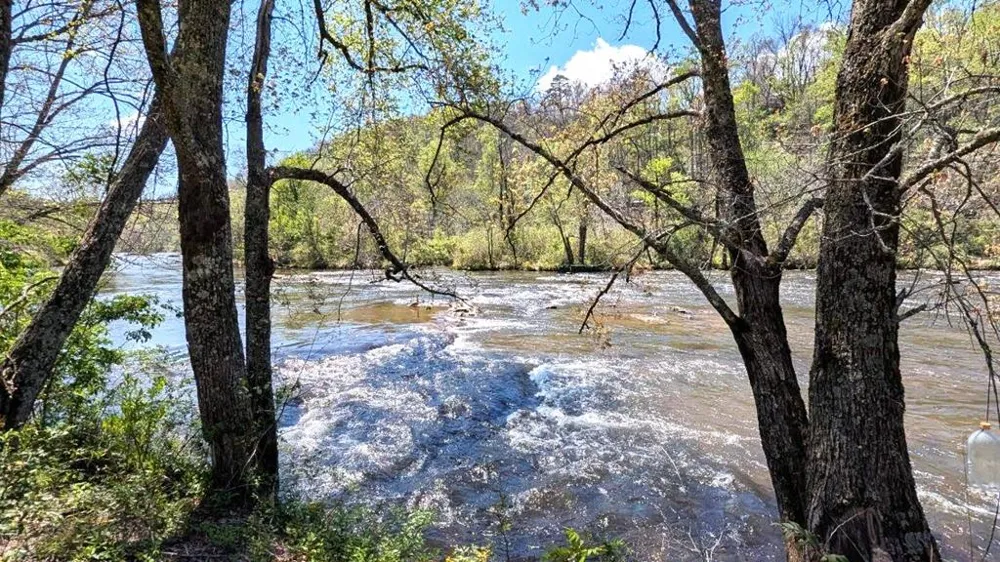 RIO BRAVO DR Sylva, NC 28779
