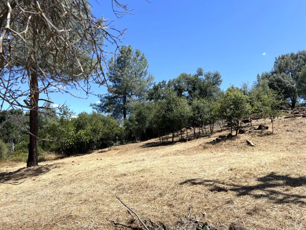 15686 23rd Avenue Clearlake, CA 95422