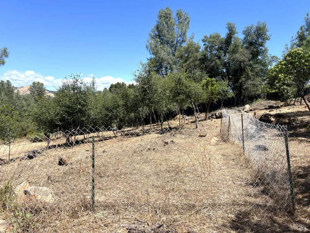 15686 23rd Avenue Clearlake, CA 95422