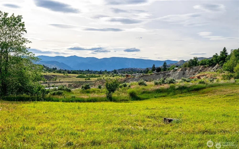 24 Miller Road Chelan, WA 98816