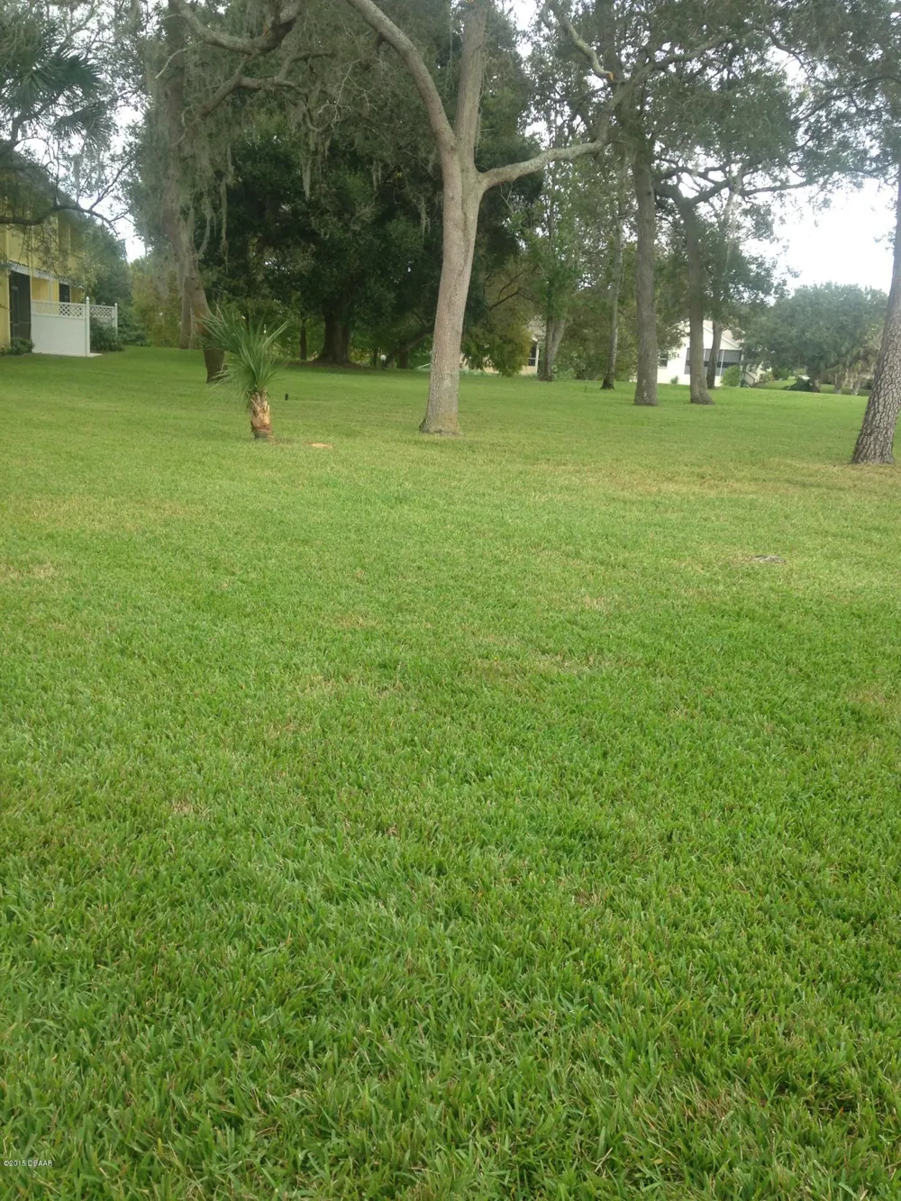 218 Timberline Trail Ormond Beach, FL 32174