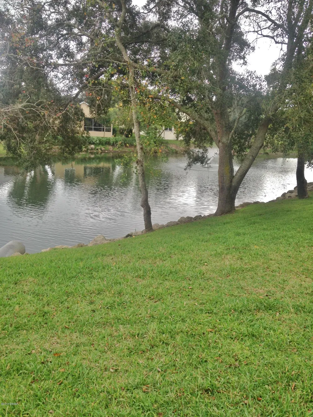 218 Timberline Trail Ormond Beach, FL 32174