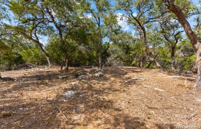 285 SCENIC CYN New Braunfels, TX 78132