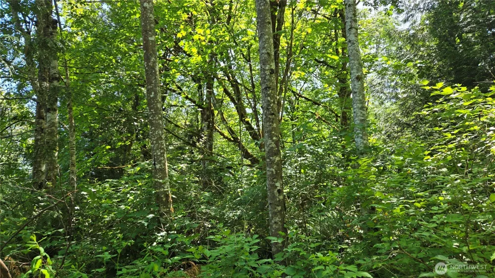 3628 Creek View Court SE Port Orchard, WA 98366