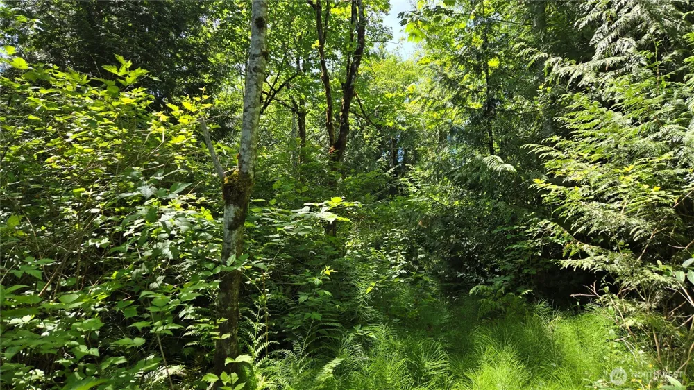 3628 Creek View Court SE Port Orchard, WA 98366