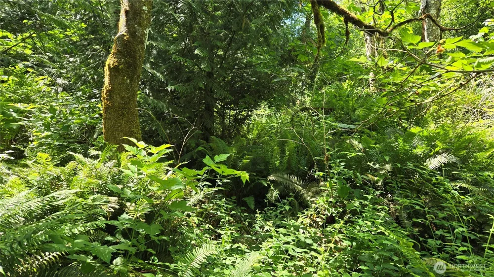 3628 Creek View Court SE Port Orchard, WA 98366