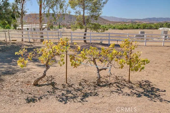35502 Voss Road Agua Dulce, CA 91390
