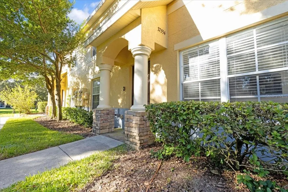 37554 DALIHA TERRACE Zephyrhills, FL 33542