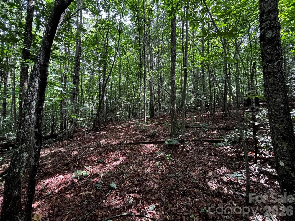 8485 Huffman Avenue Connelly Springs, NC 28612