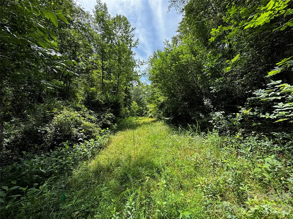 8485 Huffman Avenue Connelly Springs, NC 28612