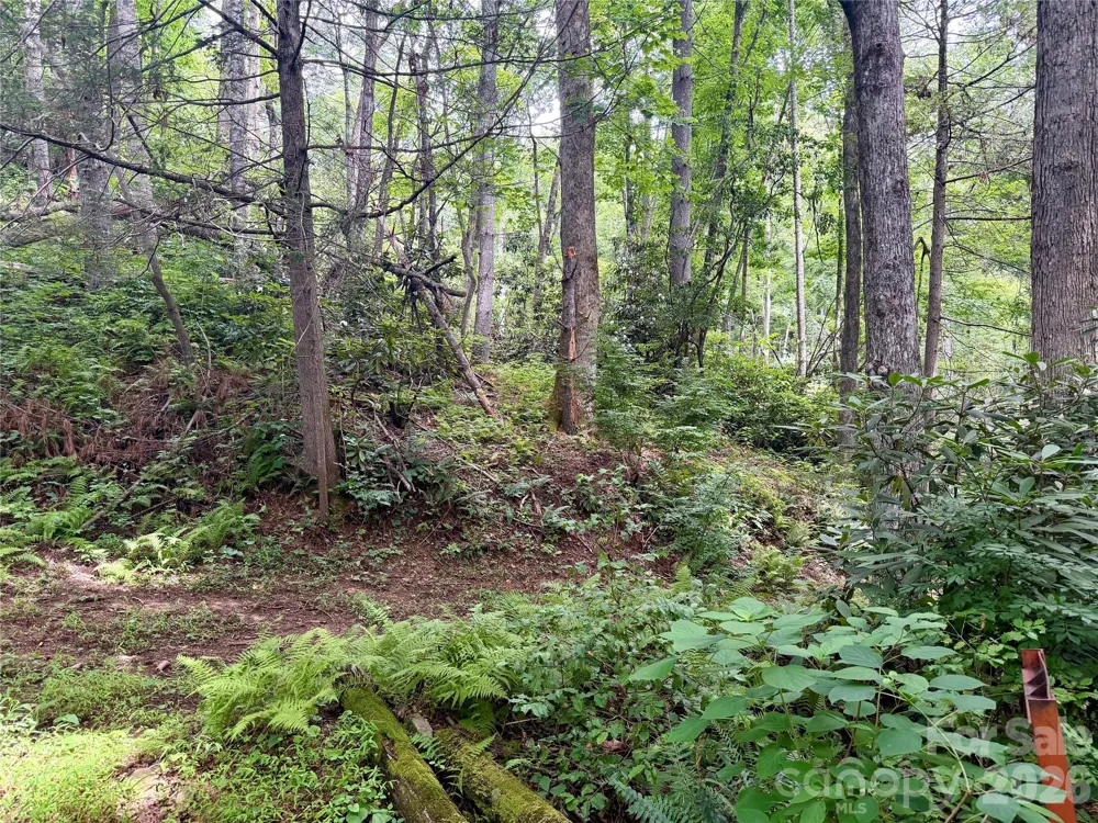 106 Flora Lina Drive Brevard, NC 28712