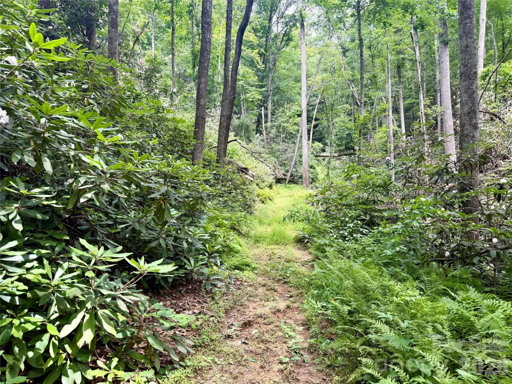106 Flora Lina Drive Brevard, NC 28712
