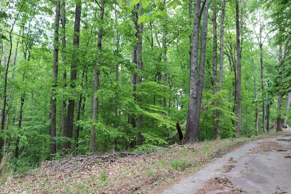 0 Jailette Road South Fulton, GA 30349