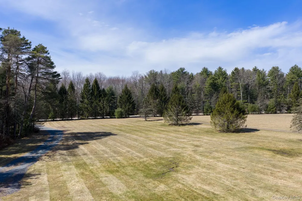 58 Deer Meadow Road Bethel, NY 12786