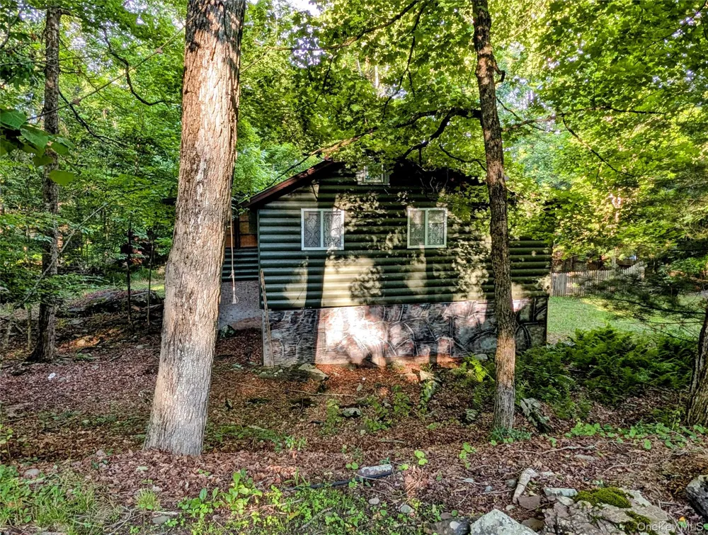 55 E Reindeer Trail Smallwood, NY 12720