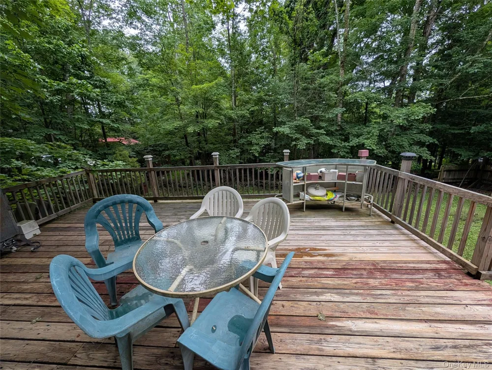 55 E Reindeer Trail Smallwood, NY 12720
