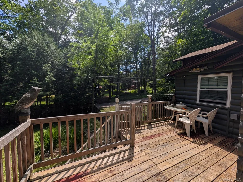 55 E Reindeer Trail Smallwood, NY 12720