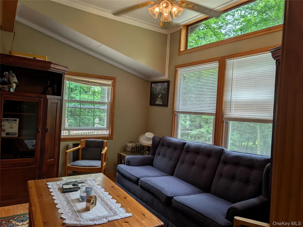 55 E Reindeer Trail Smallwood, NY 12720