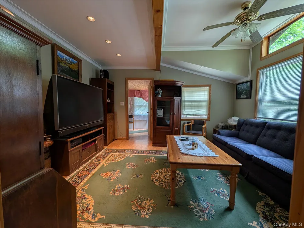 55 E Reindeer Trail Smallwood, NY 12720