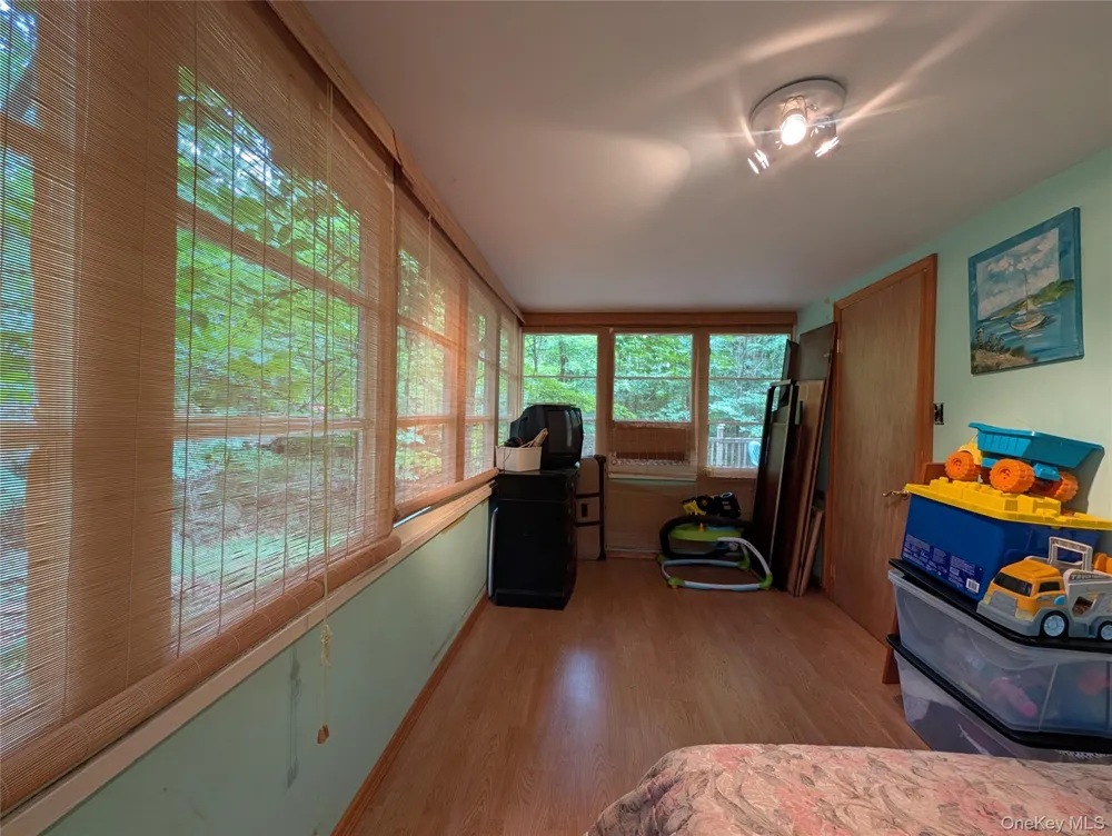 55 E Reindeer Trail Smallwood, NY 12720