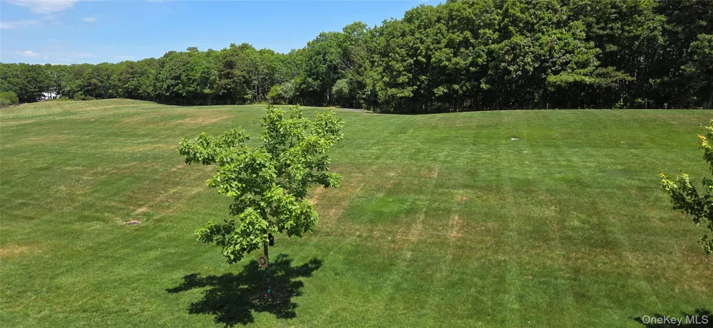 22 Cricket Court Shirley, NY 11967