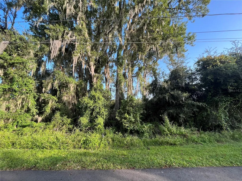 262 TOMS ROAD Debary, FL 32713