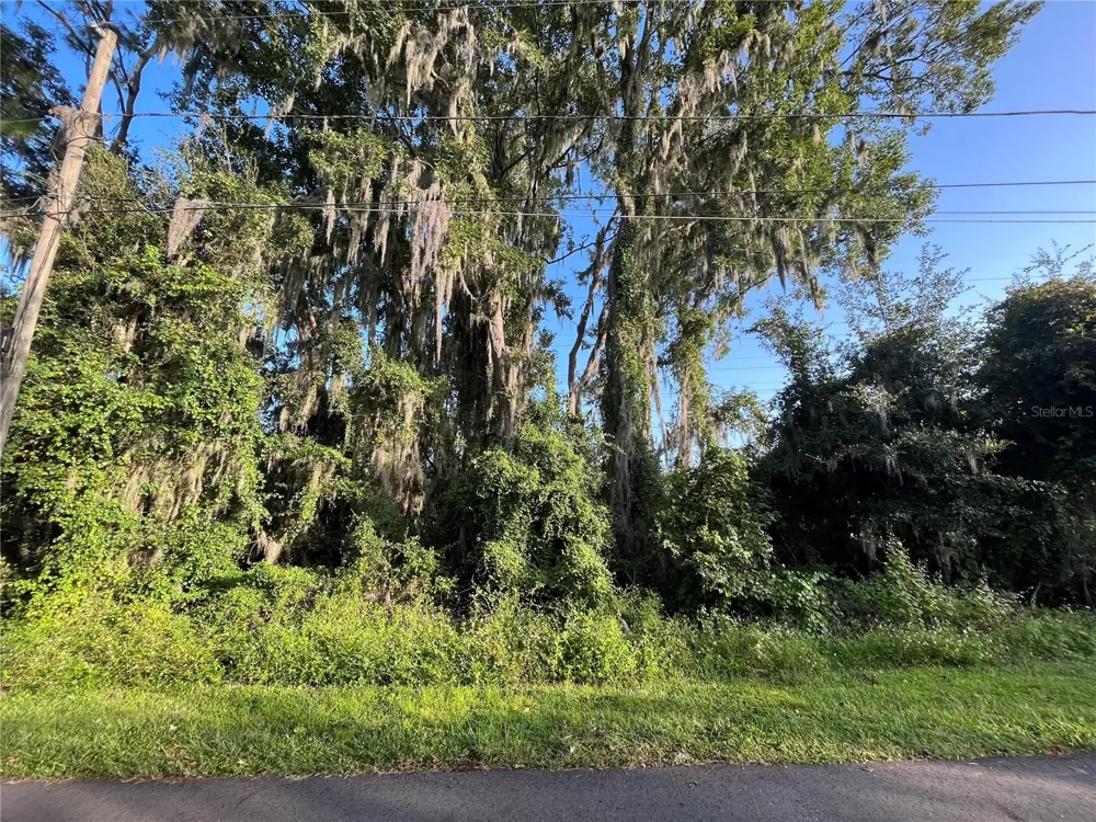 262 TOMS ROAD Debary, FL 32713