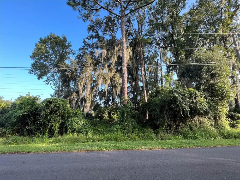 262 TOMS ROAD Debary, FL 32713