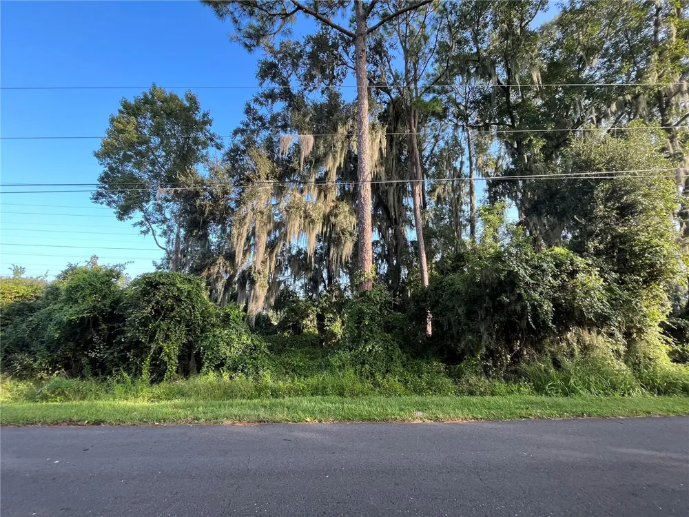 262 TOMS ROAD Debary, FL 32713