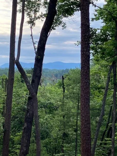 Lt 132 Red Oak Trail