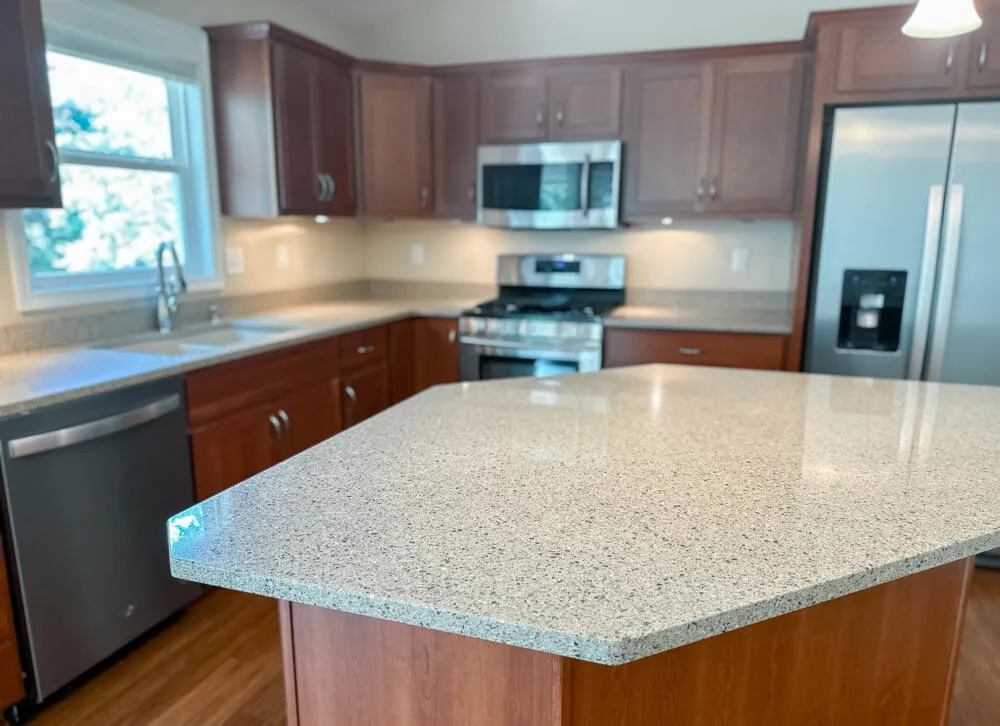 1130 Coral Springs Drive Portage City, MI 49002