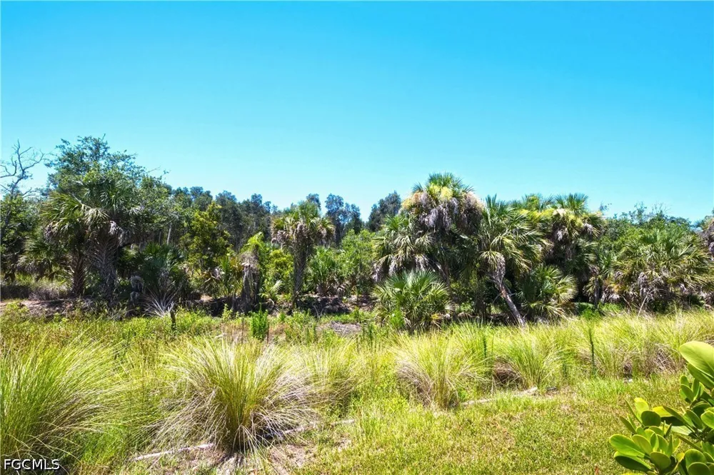 Enbrook Loop Naples, FL 34114