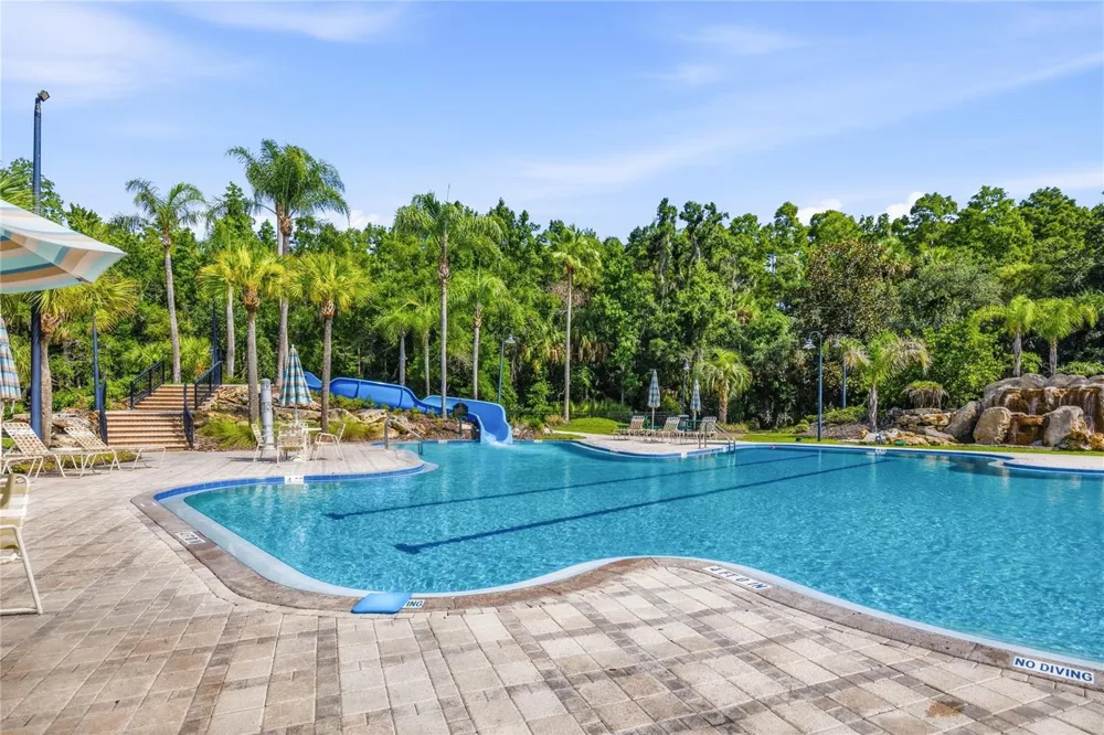 5125 PALM SPRINGS BOULEVARD #1204 Tampa, FL 33647