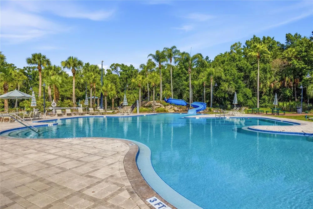 5125 PALM SPRINGS BOULEVARD #1204 Tampa, FL 33647