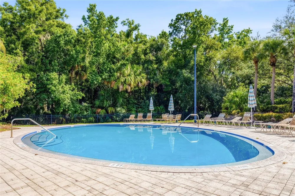 5125 PALM SPRINGS BOULEVARD #1204 Tampa, FL 33647