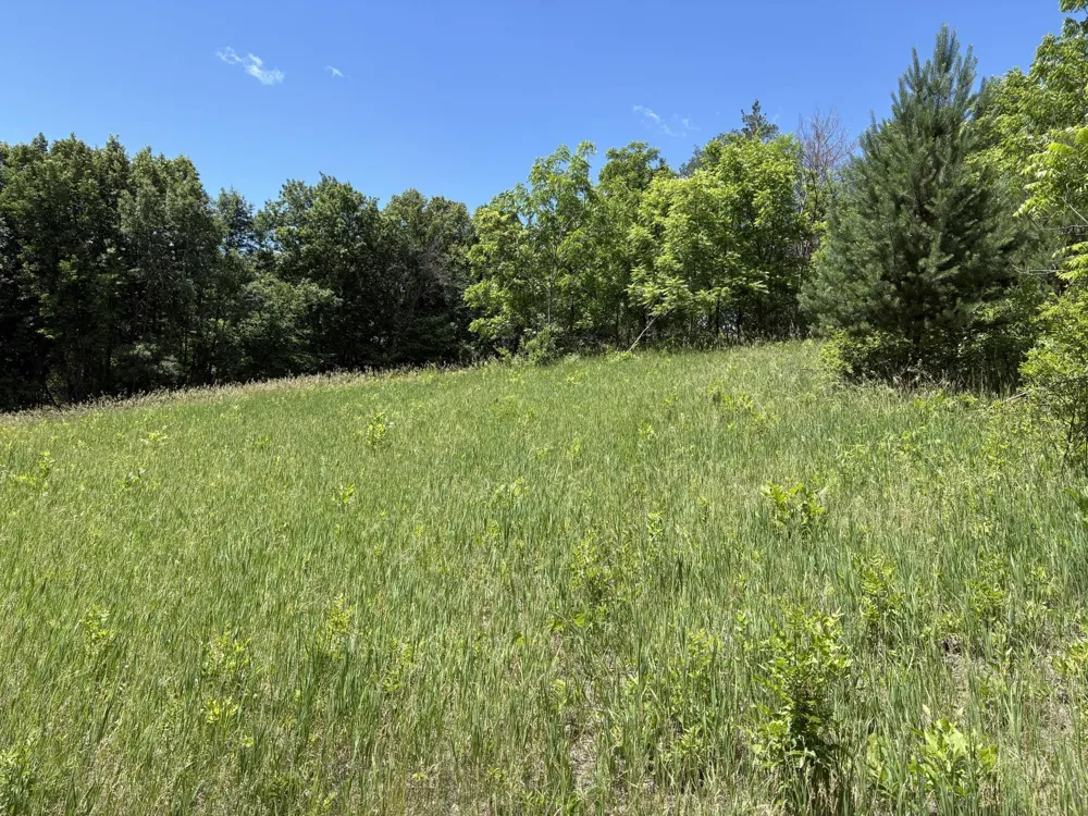 TBD Base Line Road Dundas, MN 55019