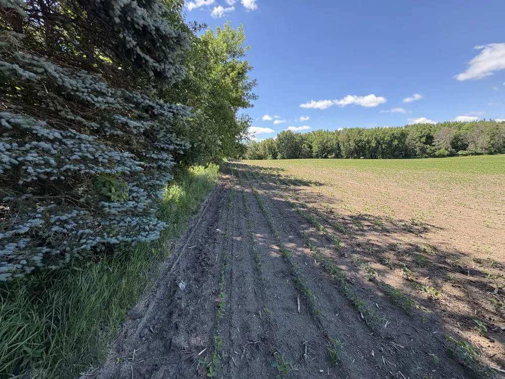 TBD Base Line Road Dundas, MN 55019