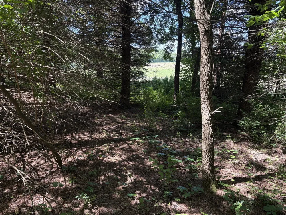 TBD Base Line Road Dundas, MN 55019