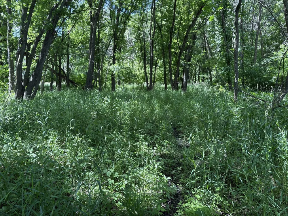 TBD Base Line Road Dundas, MN 55019