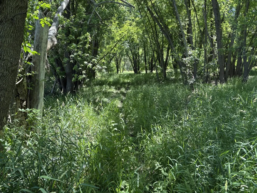 TBD Base Line Road Dundas, MN 55019