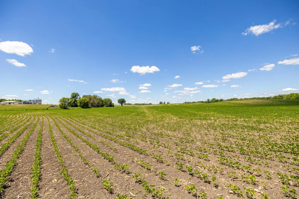 TBD Base Line Road Dundas, MN 55019