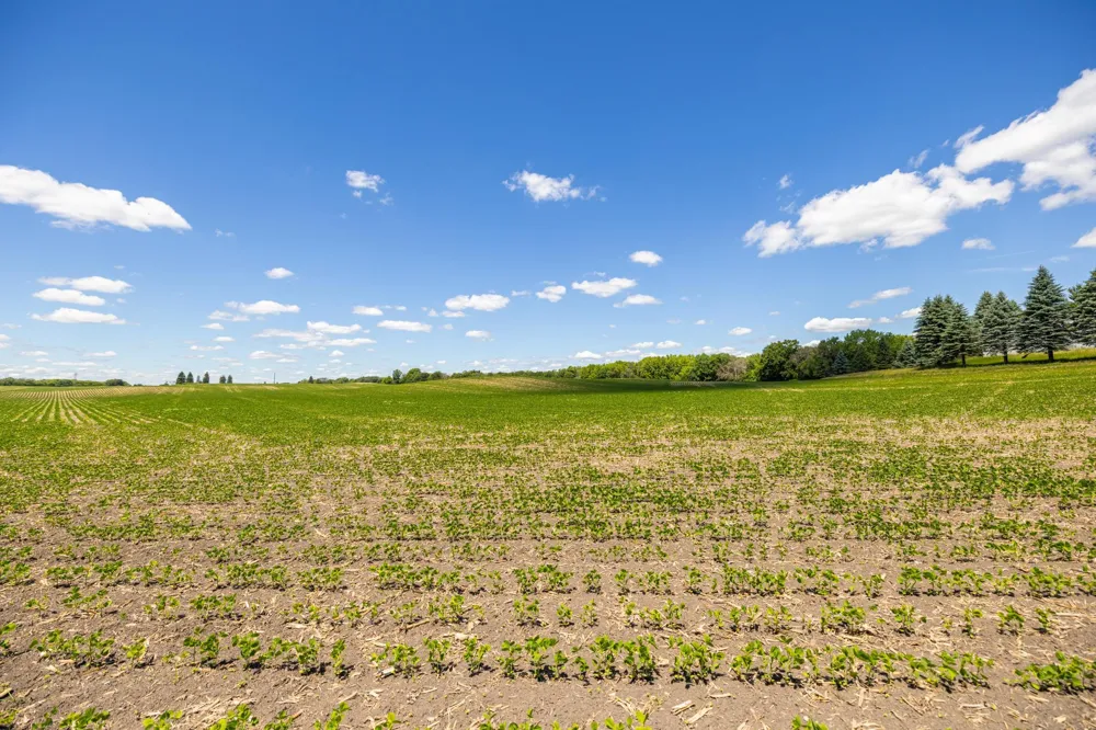 TBD Base Line Road Dundas, MN 55019