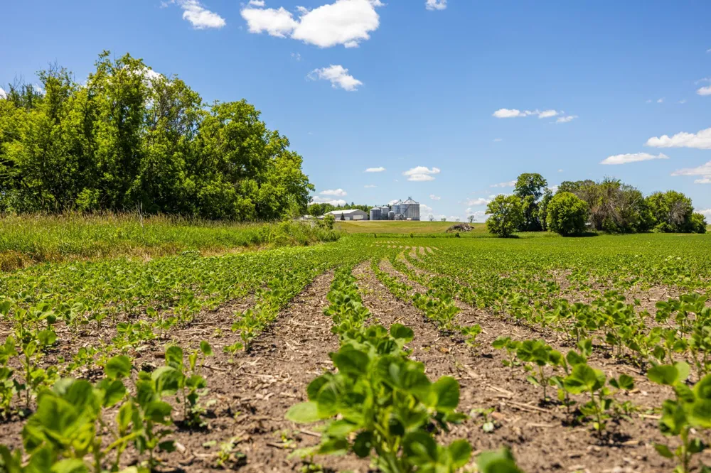 TBD Base Line Road Dundas, MN 55019