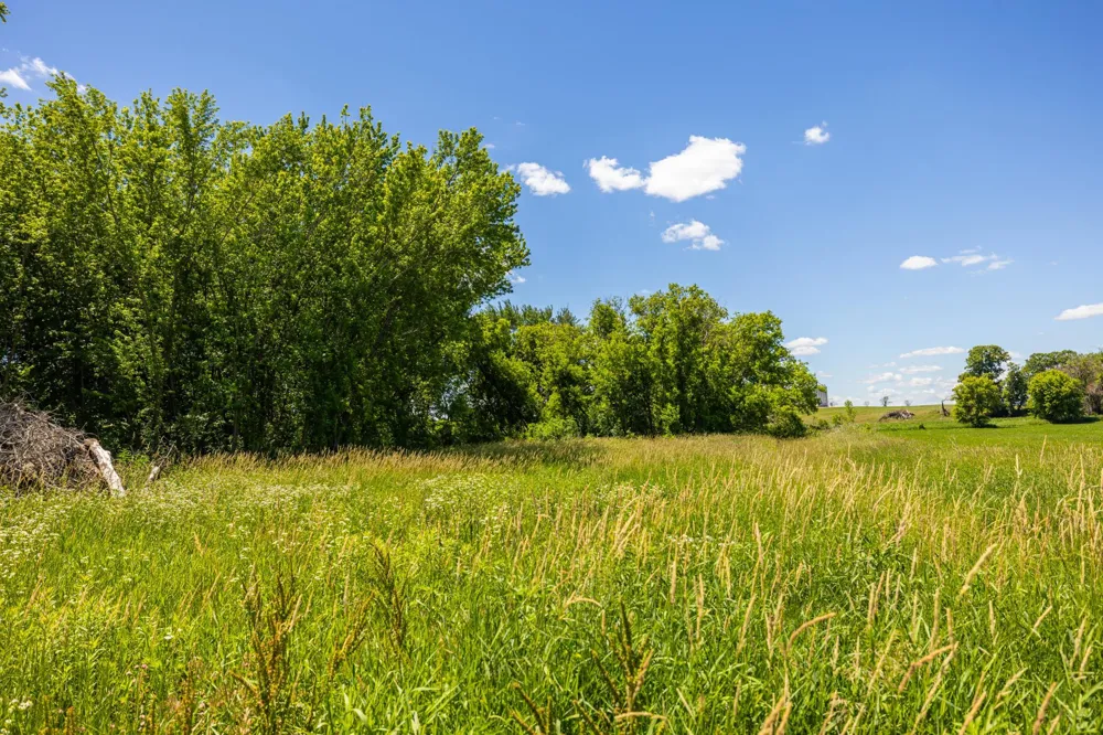 TBD Base Line Road Dundas, MN 55019