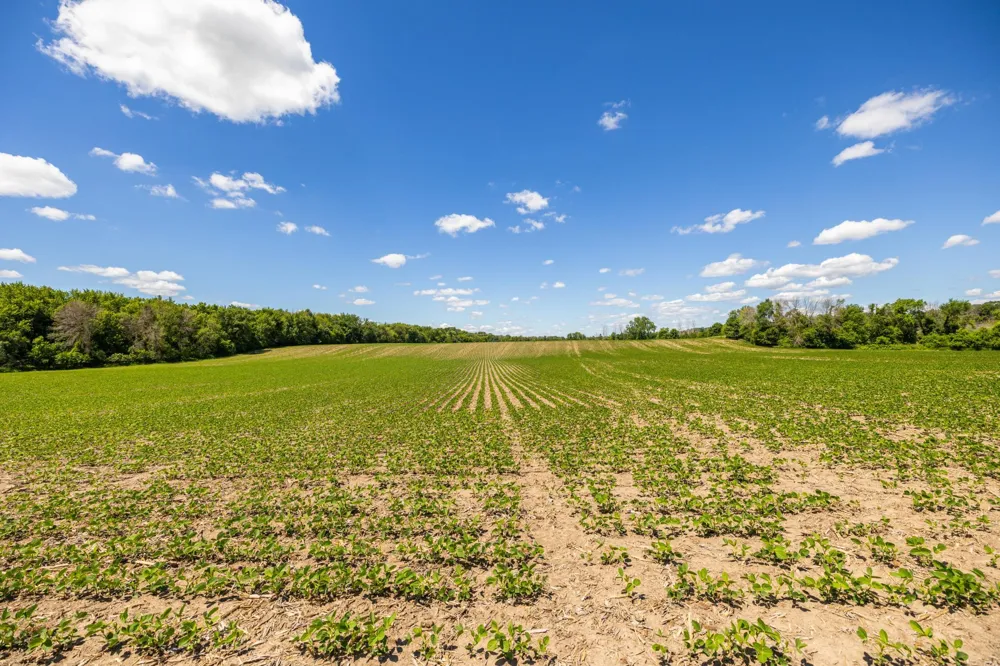 TBD Base Line Road Dundas, MN 55019