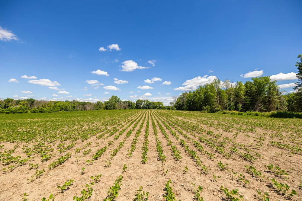 TBD Base Line Road Dundas, MN 55019